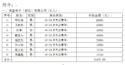 2021年就业见习人员生活补贴公示  (第二批)