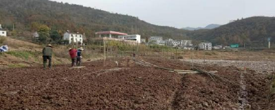 房县土城镇山堰村，产业忙农民富乡村兴