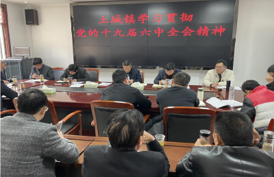 土城镇召开“学习贯彻党的十九届六中全会精神”专题会