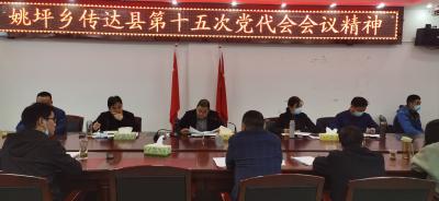 姚坪乡全面学习贯彻落实县第十五次党代会精神