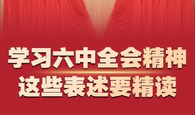 学习六中全会精神，这些表述要精读