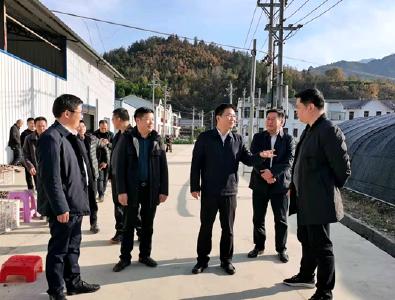 谢晓鸣到中坝乡调研时强调：聚力主导产业发展夯实乡村振兴基础