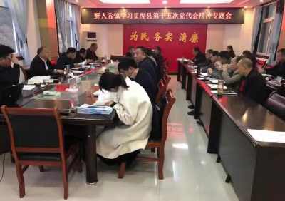 野人谷镇传达贯彻县十五次党代会精神