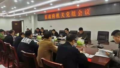 县政府办深入学习贯彻县“两会”精神