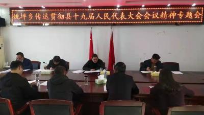 姚坪乡学习传达贯彻县“两会”精神