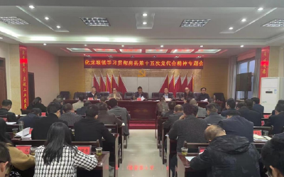 化龙堰镇学习贯彻落实县第十五次党代会精神
