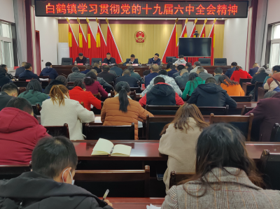 白鹤镇学习贯彻党的十九届六中全会精神