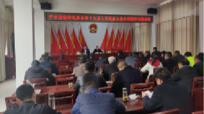 尹吉甫镇传达贯彻县“两会”精神