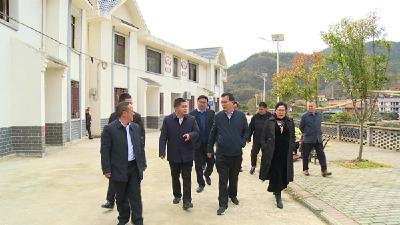 黄国雄来我县调研定点帮扶与乡村振兴工作