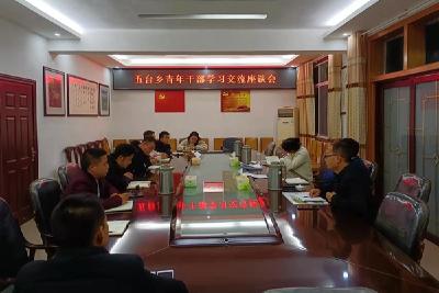 五台乡召开“弘扬工匠精神，青年成长大比拼”座谈会