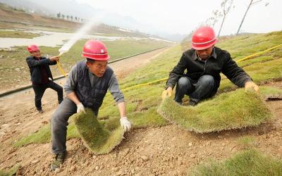 房县：修复生态河流