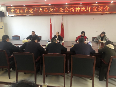 姚坪乡召开学习贯彻党的十九届六中全会精神专题宣讲会