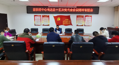 县农经服务中心宣传贯彻县十五次党代会精神 