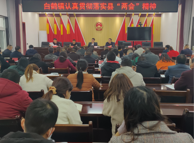 白鹤镇学习贯彻“两会”精神