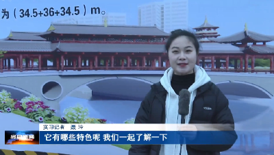 走近“城区十六桥梁改造提升工程”之二   走近西河新拱桥