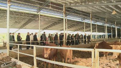 门古寺镇：做好产业发展“扩稳引”文章 打造“四个一万”大产业格局