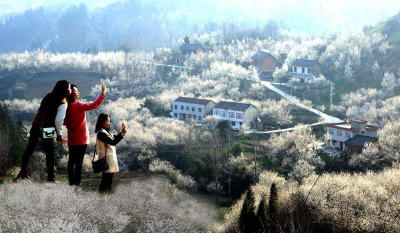 房县这个村被评选为“2020中国文化和旅游赋能乡村优秀案例”