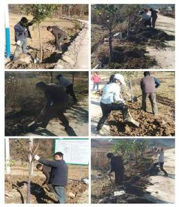 九道八里坡村：绿化道路环境 助力乡村振兴 