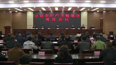 我县加快推进茶叶产业链建设 助力乡村振兴