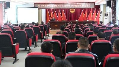 野人谷镇召开学习贯彻党的十九届六中全会精神宣讲会