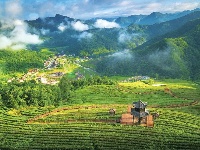 房县土城黄酒民俗村