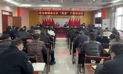 化龙堰镇举办新任村“两委”干部培训班