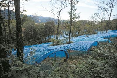 万峪河乡人社中心：加强作风建设 提升服务效能