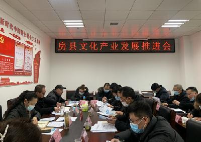 我县召开文化产业发展推进会