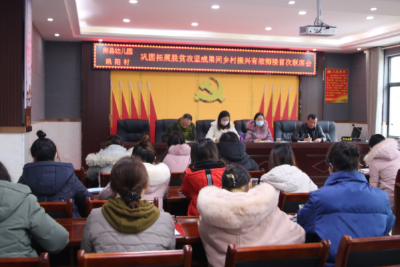 城关镇召开巩固脱贫攻坚成果同乡村振兴有效衔接联席会