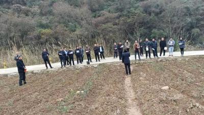 大木厂镇开展茶叶观摩学习 助推产业提升