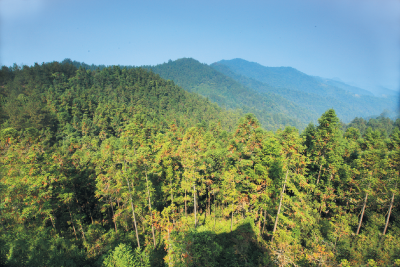 九道乡召开2021年度岁末年初安全生产暨“拔根”行动工作会