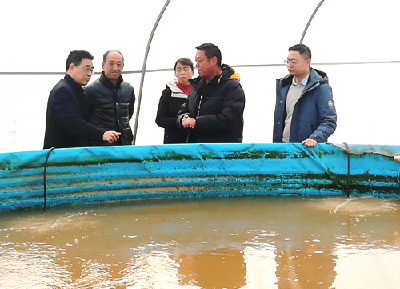 市水产局局长石崇明来我县调研渔业养殖工作