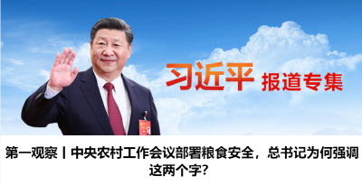 
第一观察丨中央农村工作会议部署粮食安全，总书记为何强调这两个字？