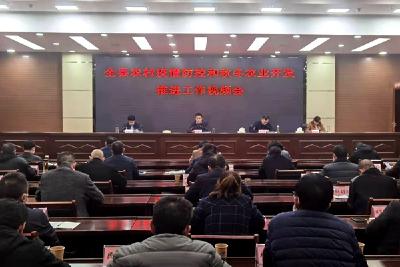 全县农村疫情防控和秋冬农业开发推进工作视频会议召开  