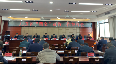 九道乡“三举措”推动“两金”征收工作持续发力