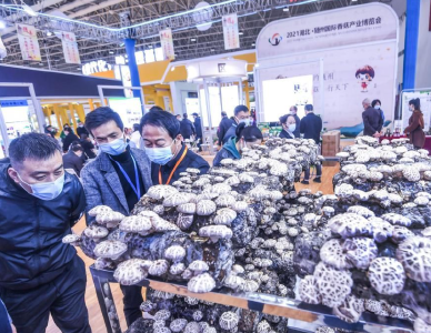 湖北产品湖北制造力拓海外，鄂产土蜂蜜稳坐全国出口前三位