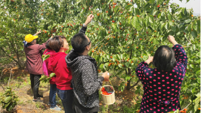 触摸乡村振兴“幸福感”——城关镇经济社会高质量跨越式发展纪实