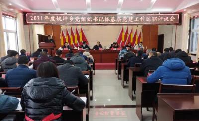 姚坪乡召开2021年度党组织书记抓基层党建工作 述职评议大会