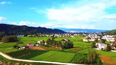 中坝乡财政所：以抓促廉建设清廉机关