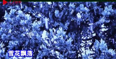 房县人吴鹤立献礼2022北京冬奥会