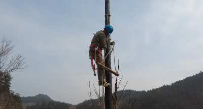 【我为群众办实事】白鹤供电所：真情服务暖人心