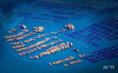 本网评论 | 永葆自我革命精神