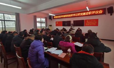 回龙乡召开2021年度党组织书记抓基层党建工作 述职评议会