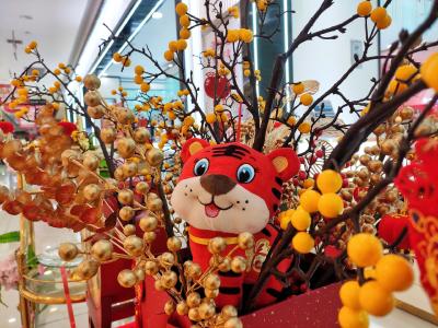 年货上架 商场超市年味儿渐浓