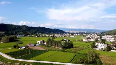 野人谷镇：积极推行网上办公，让群众足不出户办成事