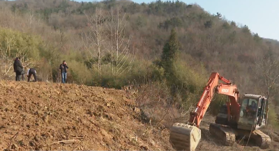 卧牛观村 ：整理土地 发展烟叶