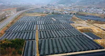 红塔镇六谷村：积极加固羊肚菌大棚 有效应对雨雪天气