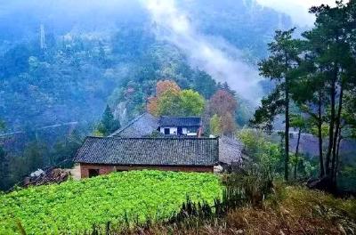 五台乡召开2021年度党支部书记抓基层党建述职评议会  