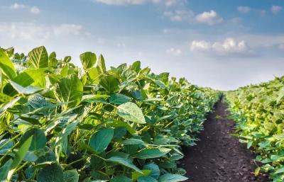 房县农产品加工园区入选全国农村创业园区（基地）目录