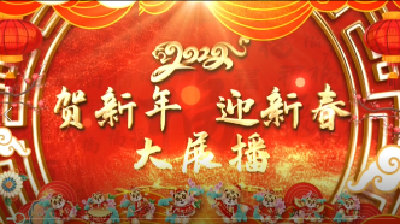 2022乡镇春节大展播